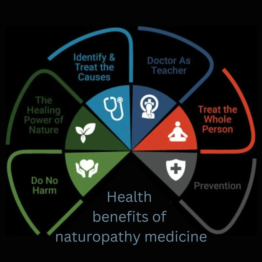 Expert physiotherapy team at Nature's Path Physio clinic in Jodhpur and Jaipur